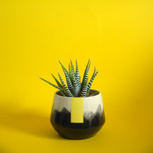 Load image into Gallery viewer, PLANTER // YELLOW STRIPE